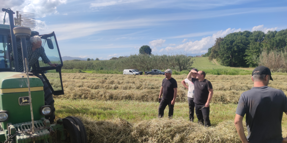 Depuis 2015, le Groupement Régional des Producteurs de Fourrages et Céréales de Corse (GRPFC) a été désigné comme représentant de la filière fourrage et céréale. Cette structuration de la filière induit la mise en place de passerelles avec les filières animales via une démarche qualité respectant les enjeux environnementaux actuels. De plus, nous avons pour mission de soutenir l’installation et la création de nouvelles unités de production fourragères en apportant aux producteurs un appui technique personnalisé.