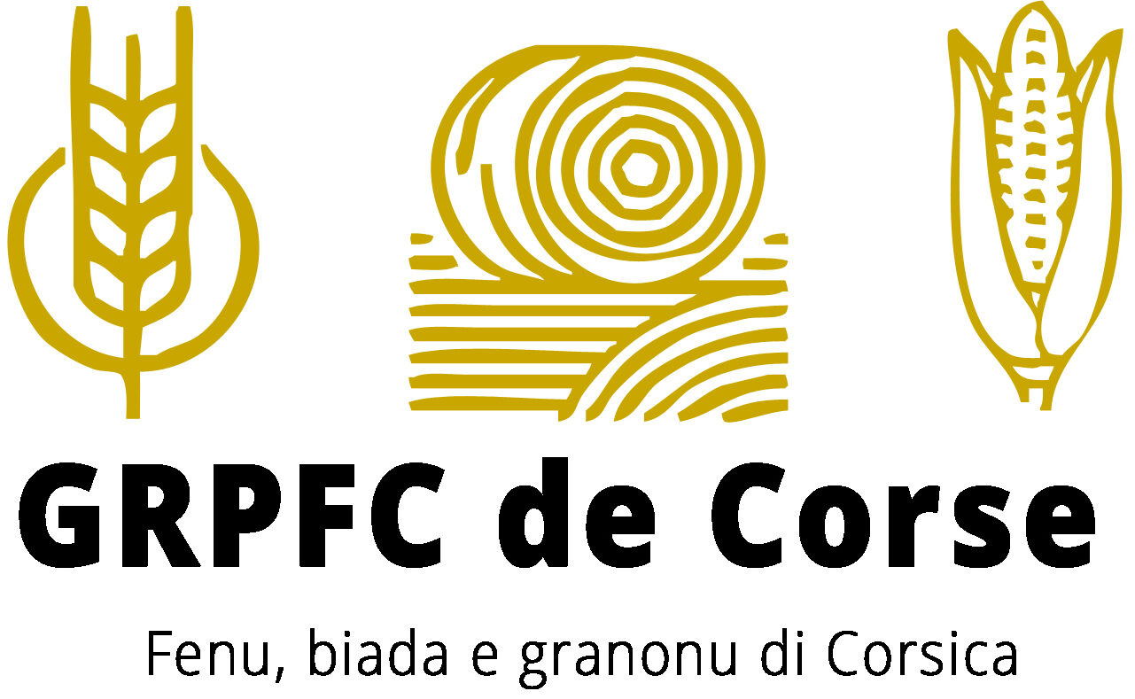 Depuis 2015, le Groupement Régional des Producteurs de Fourrages et Céréales de Corse (GRPFC) a été désigné comme représentant de la filière fourrage et céréale. Cette structuration de la filière induit la mise en place de passerelles avec les filières animales via une démarche qualité respectant les enjeux environnementaux actuels. De plus, nous avons pour mission de soutenir l’installation et la création de nouvelles unités de production fourragères en apportant aux producteurs un appui technique personnalisé. Notre rôle est donc de fédérer les producteurs de fourrages corses tout en favorisant leur développement technique et économique via la mise en place d’outils & de solutions dédiées.