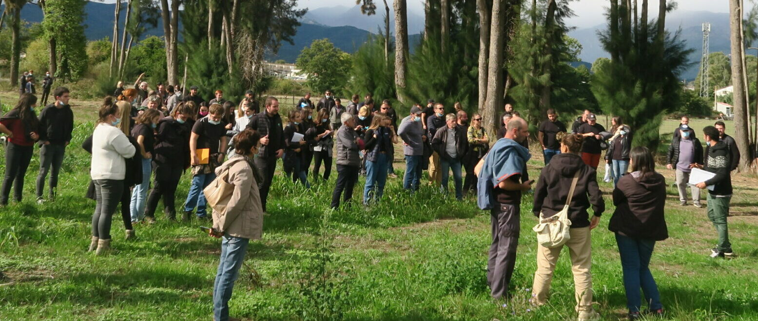 Depuis 2015, le Groupement Régional des Producteurs de Fourrages et Céréales de Corse (GRPFC) a été désigné comme représentant de la filière fourrage et céréale. Cette structuration de la filière induit la mise en place de passerelles avec les filières animales via une démarche qualité respectant les enjeux environnementaux actuels. De plus, nous avons pour mission de soutenir l’installation et la création de nouvelles unités de production fourragères en apportant aux producteurs un appui technique personnalisé.