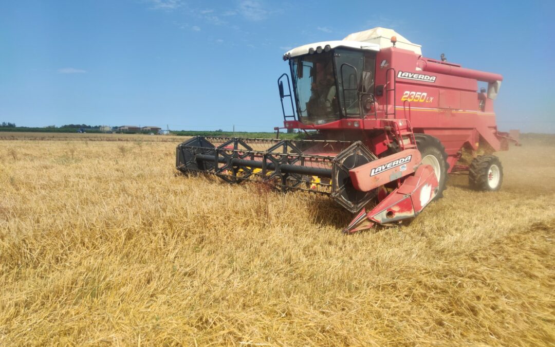 Types de prairies et mise en place