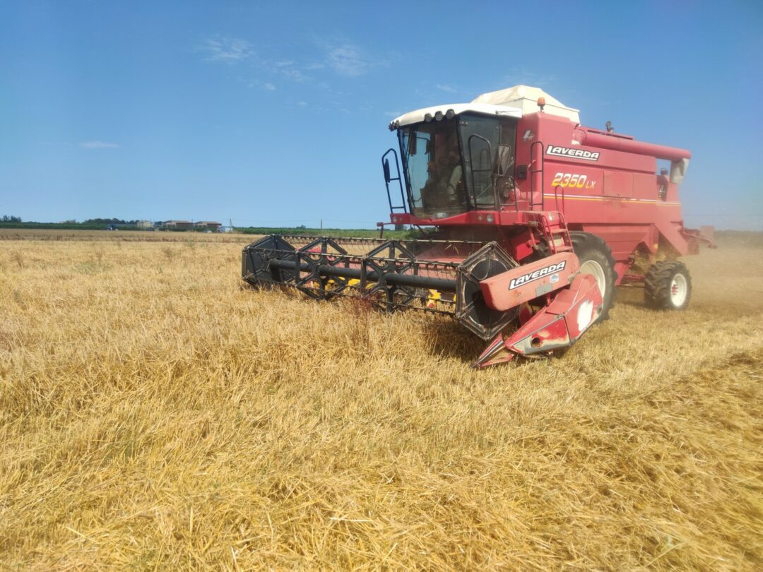 Types de prairies et mise en place