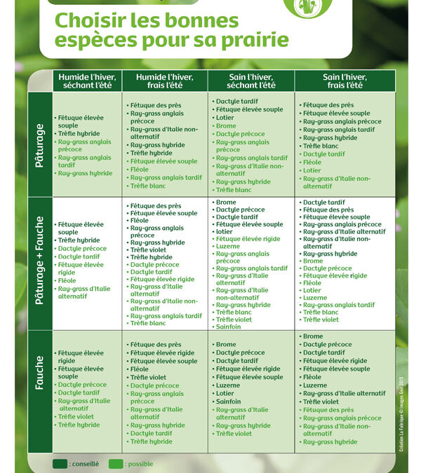 Grille des choix des espèces pour les prairies