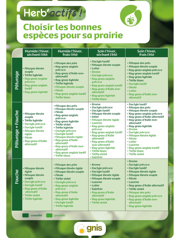 Grille des choix des espèces pour les prairies