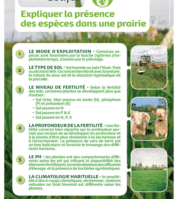 Présence d’espèces dans les prairies