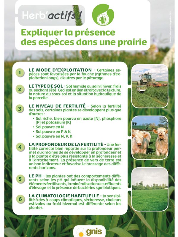 Présence d’espèces dans les prairies