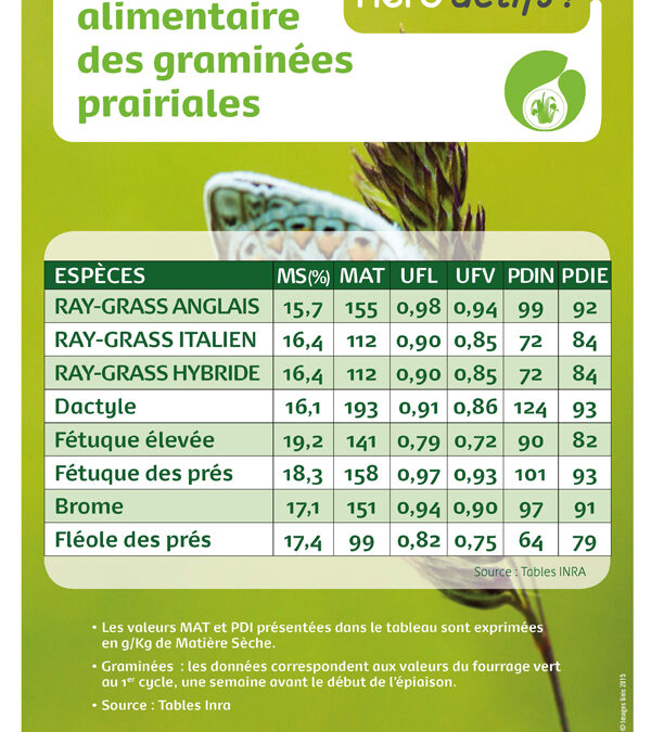 Valeur alimentaire graminées