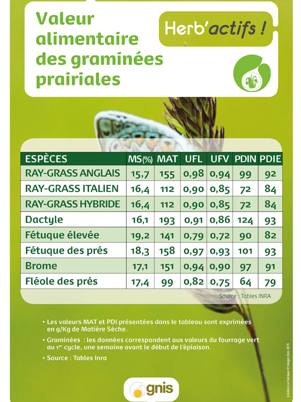 Valeur alimentaire graminées