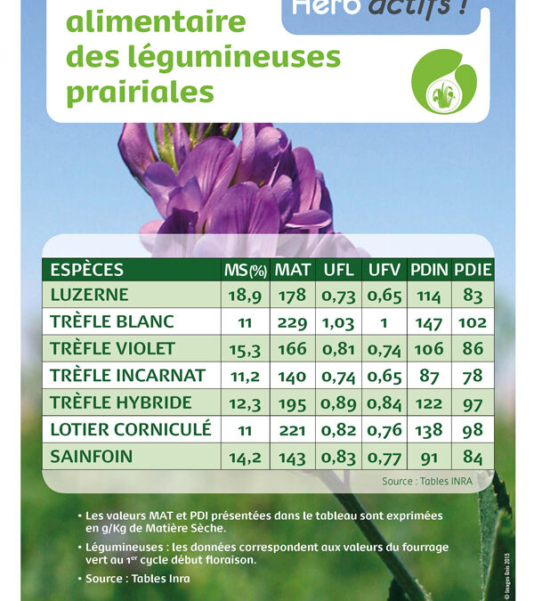 Valeur alimentaire légumineuses