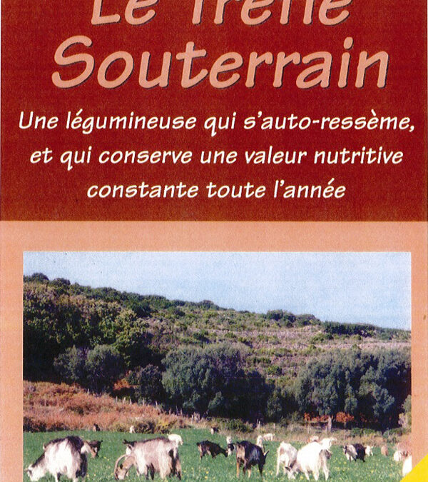 Trèfle souterrain (Infos & Caractéristiques)