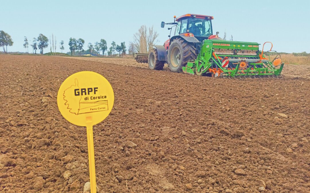 AAP soutien à la plantation de légumineuses fourragères