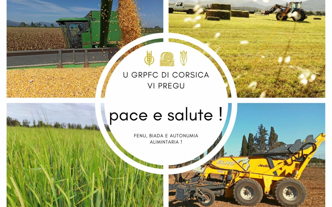 Pace e salute pè 2023 !