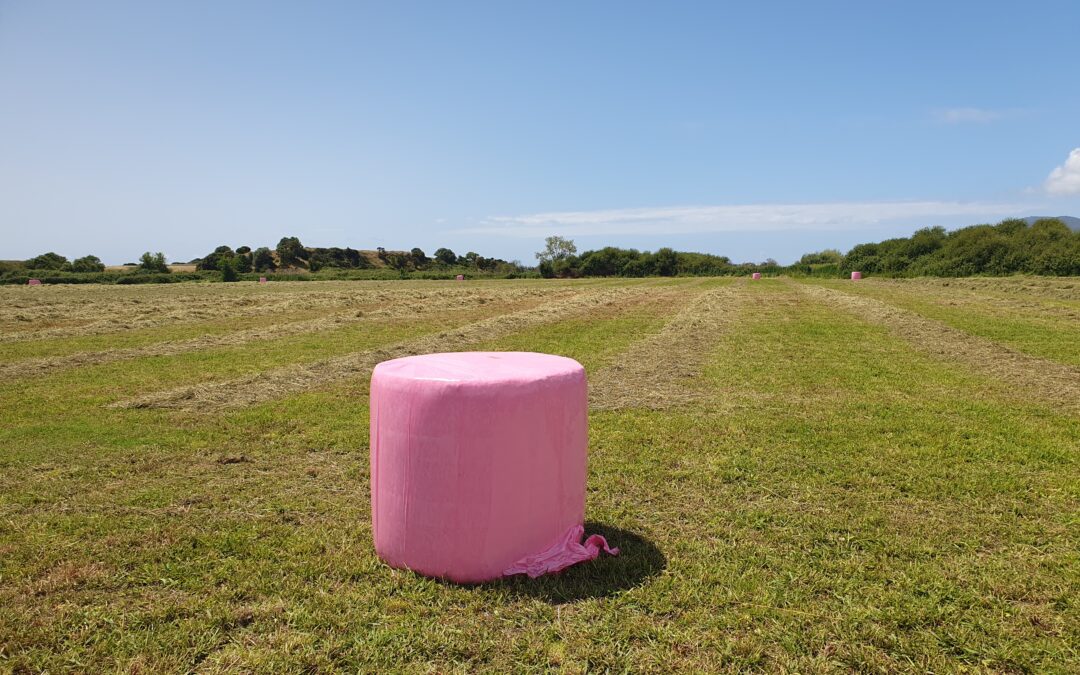 Les agriculteurs corses se mobilisent contre le cancer du sein