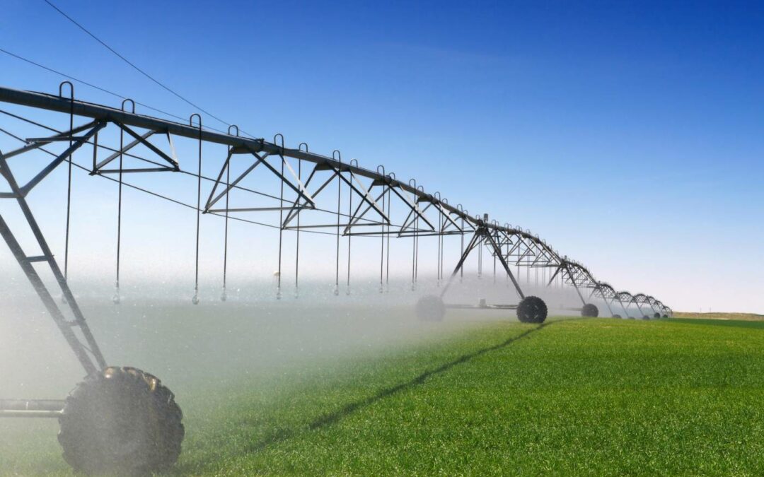 Formation Développer la production fourragère sur son exploitation 2de partie : gérer durablement des prairies en optimisant la ressource en eau