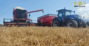 Tarification machines collectives, réservation GRPFC de Corse